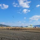 ㈜예진환경 | [경상남도 고성군] 고성독수리생태체험관