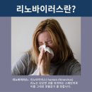 주식회사 스마트름뱅이 이미지