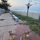 지경캠핑장매점