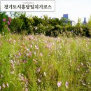 정왕중앙공원 이미지