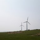 금서방네이층집 이미지