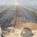 성하농장 이미지