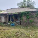 문재인대통령 생가 이미지