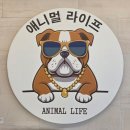 참조은주유소 네이버블로그
