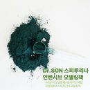 에스지사우나 - 2334 | 피부진정 모공관리 초간단 Dr.SGN스피루리나 인텐시브 모델링팩으로 피부 홈케어하기 완전추천 사용후기
