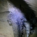 평창 백룡동굴 이미지