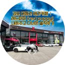 신!과함께 | 김포 대형견 애견카페 : 레드퍼피 (red puppy) 내 돈 주고 다녀온 솔직 후기