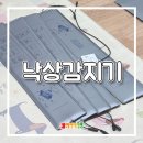 토마토의료기 - 서구 내방로398번길 5 | 전주 요양원 낙상감지기 설치 후기｜유튜브 보고 문의주신 실제 사례 ⭐추천
