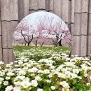 이천의 숨은 보석, 도화지 카페에서 복숭아 향기를 느껴보세요!