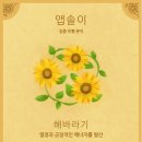 힐링개발 이미지