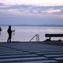 오리 날다 이미지