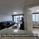 신방한라동백@ 2 이미지