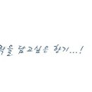 (주)포크로스 네이버블로그