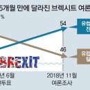 “EU 잔류로 되돌리고 싶어”… 英국민들, 브렉시트 후회 - 동아일보 11월 8일자 기사인용 이미지