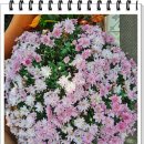 전속공인중개사사무소 이미지