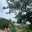 시원한 창포원 - 중량천 걷기 이미지