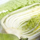 종현농장 이미지