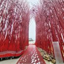 영월 Y파크(술샘박물관) 이미지