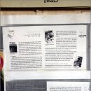토속집 Daum카페