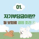 댕블리냥 이미지