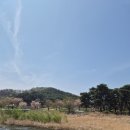 생초신발 | 4월 거창 벚꽃 여행 코스 | 병곡마을·용원정·생초조각공원