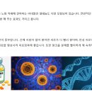 꼬막의 효능과 제철시기 퍼옴 이미지