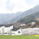 마마스펜션 환경일보