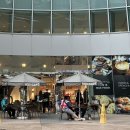 허벌라개 | 싱가포르 7박8일 Day3,4 다시 갈 맛집 싱가포르 여행에서 내 최대업적⭐️✨