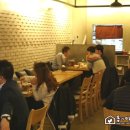 샐러드캐츠 이미지