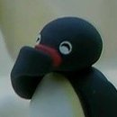 캠핑 라운드 이미지