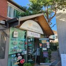 1박 2일 강릉 가을 바다 뚜벅이 여행(동화가든/ 갤러리밥스/ 용궁사우나/ 서울양계/ 엄지네 포장마차...