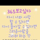 다락방고양이 이미지