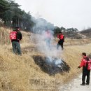 곡성-238 이미지