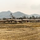 외암마을 이미지