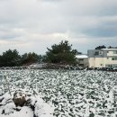 엔게디하우스 이미지