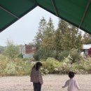 비야비야 | 대부도 바다의별캠핑장 10구역 1번, 2번 두가족 후기 | 캠핑기록