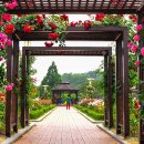 성서고등학교 이미지