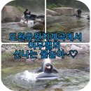 도원리유원지 이미지