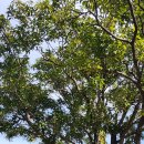 제일오투마트 이미지