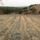 김옥수농장 이미지