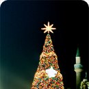 이천2(미역) 이미지