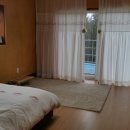 강정2442 꽃피우다 이미지