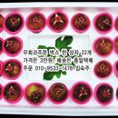 필립보농장 이미지