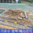 가로수빌딩 | 가로수 벌목 뿌리제거 전문