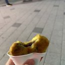 꽈백최선생