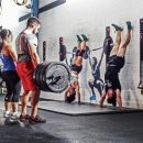 크로스핏225 이미지