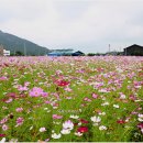 기찬랜드 이미지