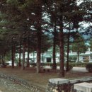 창촌중학교 이미지