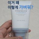 1004 | SKIN1004 선세럼 후기 | 백탁 없는 온가족 선크림 추천 (내돈내산)