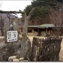 들꽃이야기 이미지